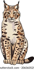 lynx vector image on transparent background