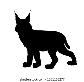 Lynx Vector Silhouette Illustration Isolated On White Background. Bobcat Silhouette. Wild Cat Symbol.