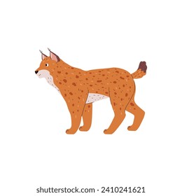 Lynx wildcat animal of Northern regions of Eurasia and America, flat vector illustration isolated on white background. Lynx animal character full length.