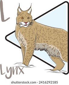 Lynxes are medium-sized, solitary wildcats. Their fur grows thicker in winter to keep them warm in cold climates. The lynx is known by the tuft of black hair on the tips of its ears and its short tail