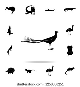 Lyrbird icon. Detailed set of Australian animal silhouette icons. Premium graphic design. One of the collection icons for websites, web design, mobile app