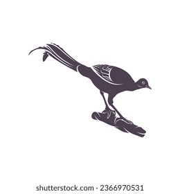Lyrebird vector illustration design. Lyrebird Silhouette. Lyrebird design template.
