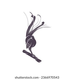 Lyrebird vector illustration design. Lyrebird Silhouette. Lyrebird design template.