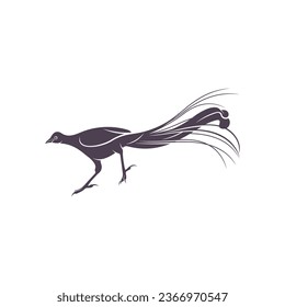 Lyrebird vector illustration design. Lyrebird Silhouette. Lyrebird design template.