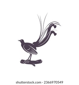 Lyrebird vector illustration design. Lyrebird Silhouette. Lyrebird design template.