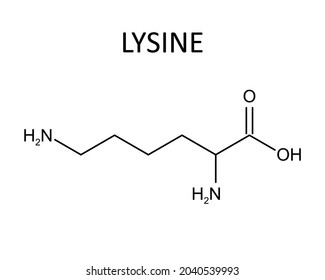 Lysine chemical formula. Vector editable