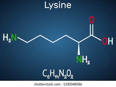 Lysine (L- lysine , Lys, K) amino acid molecule. It is used in the biosynthesis of proteins. Structural chemical formula on the dark blue background. Vector illustration 