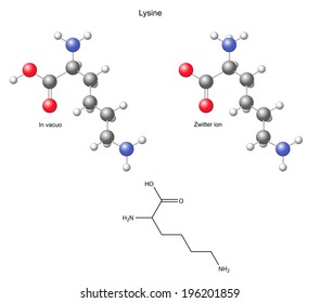 Lysine (Lys) - chemical structural formula and models, amino acid, in vacuo, zwitterion, 2D and 3D illustration, balls and sticks, isolated on white background, vector, eps8