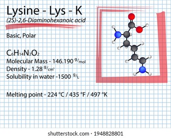 Lysine - Lys - K - Amino Acid molecular formula, chemical structure, properties, solubility, density, mass. 2D Ball and stick model on school paper sheet background.
