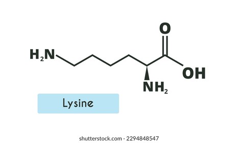 Lysine Molecule Structure.  (l-lysine, Lys, K)  Skeletal formula. Amino acid.