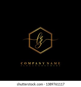 LZ Initial luxury handwriting logo vector