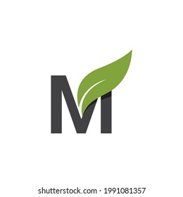 M Letra inicial con hoja verde