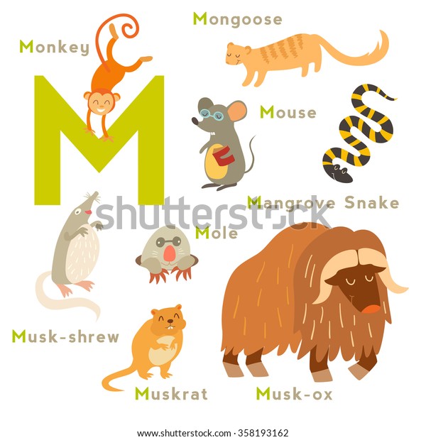 M Brief Tiere Set Englisches Alphabet Vektorillustration Stock Vektorgrafik Lizenzfrei