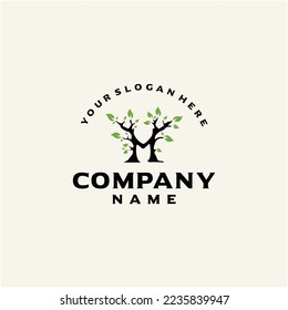 M letter and tree logo design