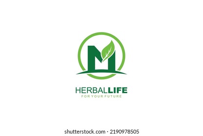 M logo leaf for identity. nature template vector illustration for your brand.