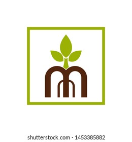 M mangrove logo design vector
