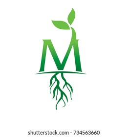 M Seed Plant
Soil Garden Logo