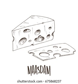 Maasdam - hand drawn cheese illustration. Vector art.