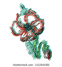 Maca, drawn manually by green, red and gray lines. Red poppy. Drawing is suitable for books, jewelry, products, tattoos, printing for clothing. Vector illustration