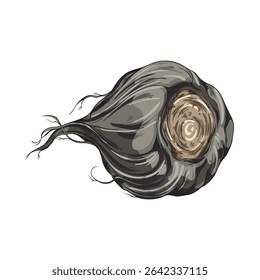 Maca root in black peel sketch icon. Hand drawn Maca Peruvian tuber superfood. Organic seasoning, condiment ingredient. Vector color illustration isolated