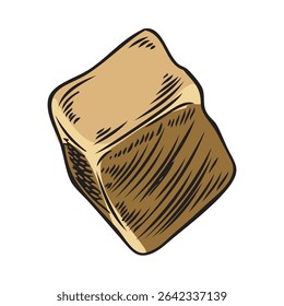 Maca root cube piece sketch icon. Hand drawn Maca Peruvian cut brown tuber superfood. Organic seasoning, condiment ingredient. Healthy plant product. Vector color illustration isolated