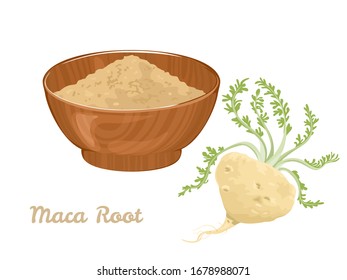 Maca root and maca powder in wooden bowl Isolated on white background. Vector illustration of dietary supplement in cartoon flat style.