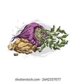 Maca root in purple peel with leaves, supplement tablets and powder products sketch. Hand drawn Maca Peruvian tuber superfood. Organic seasoning, condiment ingredient. Vector color illustration