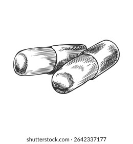 Maca root round sticks sketch icon. Hand drawn engraved Maca Peruvian tuber cylindrical shape superfood. Organic seasoning, condiment ingredient. Healthy plant product vector ink illustration isolated