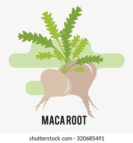 Maca root Super foods Icon