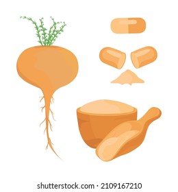 Maca. Root vegetable. Powder, capsule. A natural product. Vector drawing on a white background. Set.