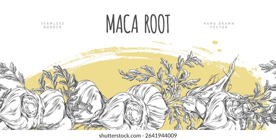 Maca roots with leaves sketch. Seamless border label vector design ink style on yellow watercolor stain. Hand drawn engraved Maca Peruvian tuber superfood. Organic seasoning, condiment ingredient