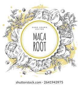 Maca roots with leaves vector sketch. Round label design ink style on yellow watercolor stain. Hand drawn engraved Maca Peruvian tuber super food ingredient. Organic seasoning, condiment