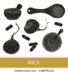 Maca. Tuber. Set. Fruit, powder. A spoon, a plate, a tablet. Monochrome. Black silhouette on white background.