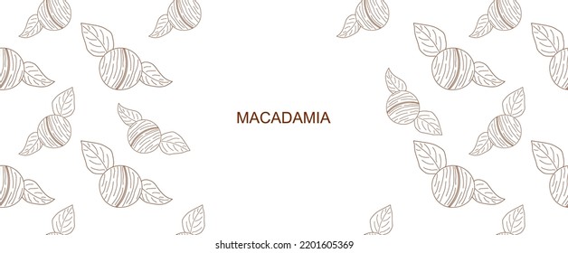 Macadamia background design with leaves. hand drawn Macadamia frame with copy space. Queensland nut background. vector eps10