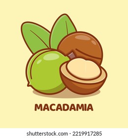 Macadamia cartoon vector icon illustration isolated