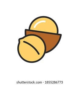 Macadamia color line icon. Isolated vector element. Outline pictogram for web page, mobile app, promo.