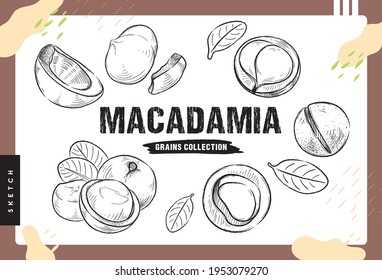 Macadamia and crack pieces, Hand drawn sketches