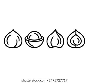 macadamia fruit slice icons symbol vector design simple line illustration black white colors isolated