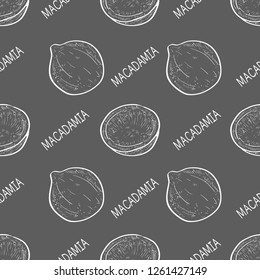 Macadamia. Fruit. Texture, wallpaper, seamless. Sketch. Gray background.