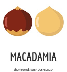 Macadamia icon. Flat illustration of macadamia vector icon for web