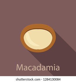 Macadamia icon. Flat illustration of macadamia vector icon for web design