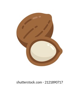 Macadamia illustrations on transparent background