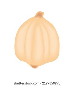macadamia isolated icon white background