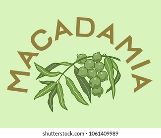 Macadamia label with text