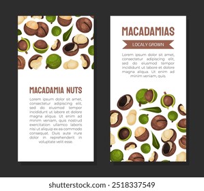 Diseño de Anuncio de nuez de macadamia con Plantilla de Vector de núcleo y cáscara