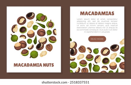 Diseño de Anuncio de nuez de macadamia con Plantilla de Vector de núcleo y cáscara