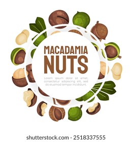 Diseño de Anuncio de nuez de macadamia con Plantilla de Vector de núcleo y cáscara