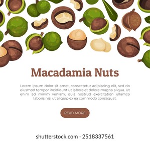 Diseño de Anuncio de nuez de macadamia con Plantilla de Vector de núcleo y cáscara