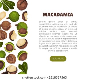 Diseño de Anuncio de nuez de macadamia con Plantilla de Vector de núcleo y cáscara