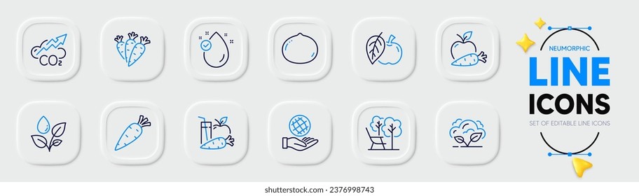 Macadamia nut, Co2 and Juice line icons for web app. Pack of Plants watering, Co2 gas, Deckchair pictogram icons. Carrot, Apple carrot, Safe planet signs. Carrots, Vitamin e, Apple. Vector